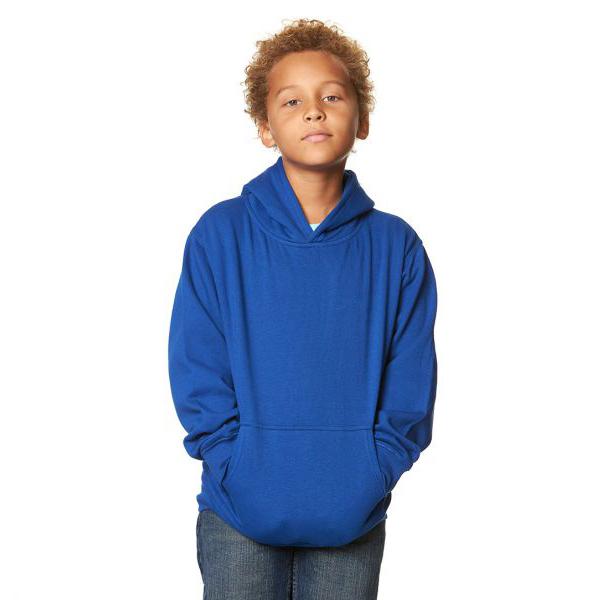 301 Youth Pullover Royal Color Hoodie