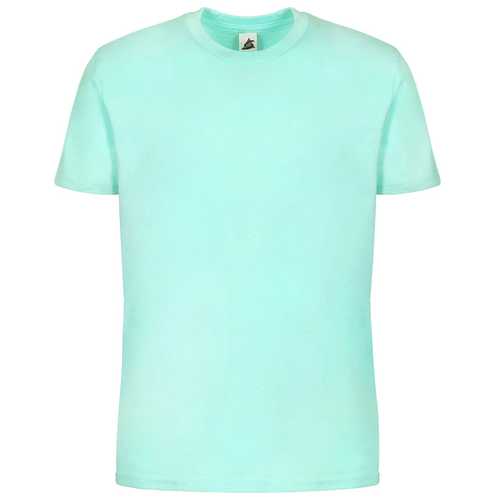 3502 Youth Premium T-Shirt - Celadon